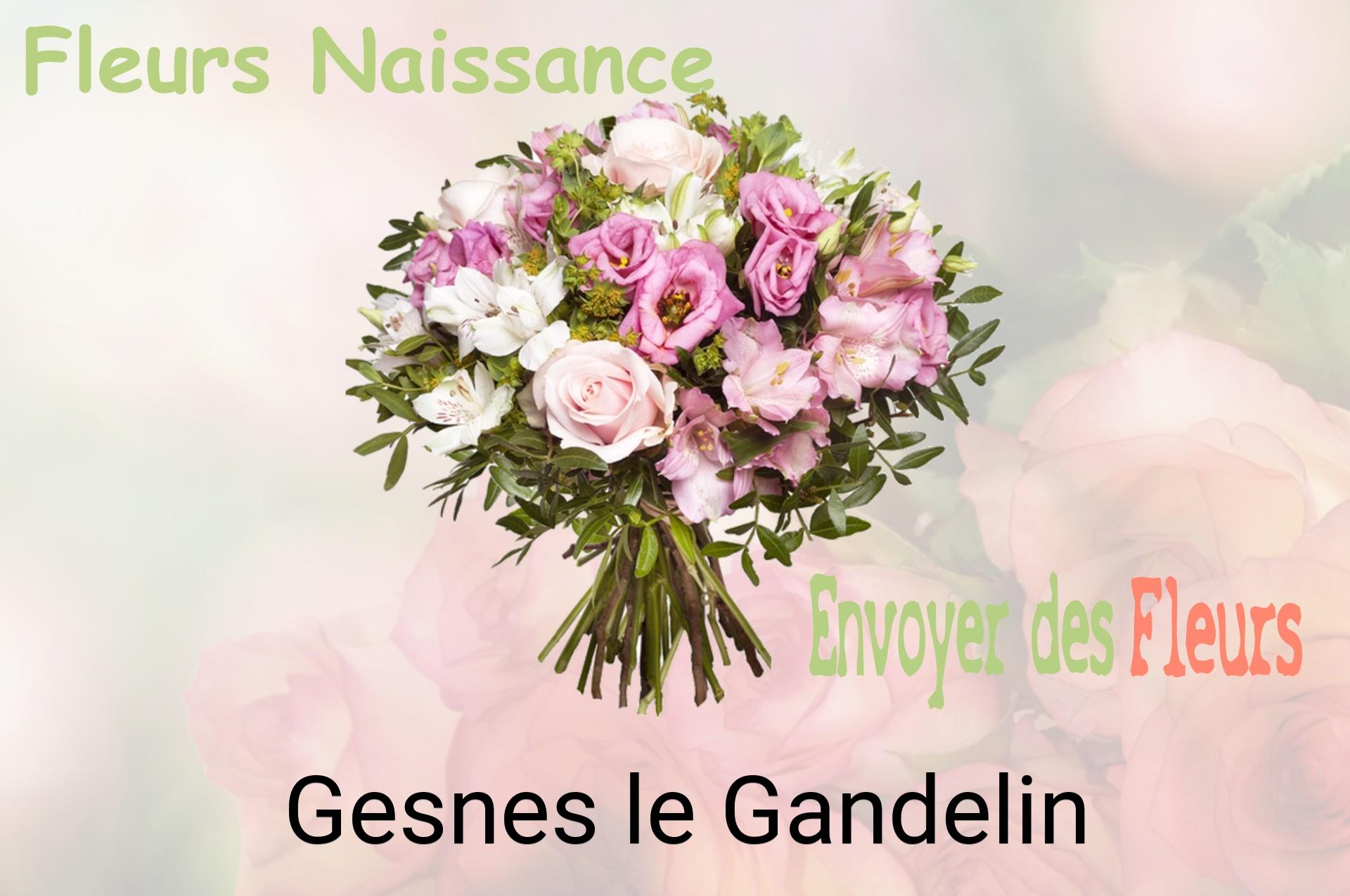 Bouquet de fleurs de naissance livré à Gesnes-le-Gandelin